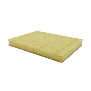 foam core sandwich panel
