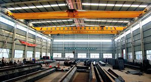 low headroom bridge crane 1