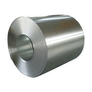 polished stainless steel