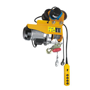 electric chain hoist