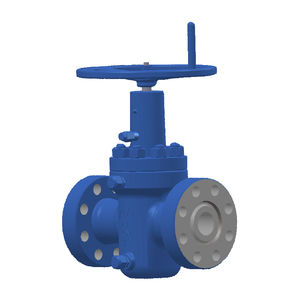 gate valve