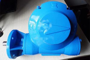 worm gear reducer