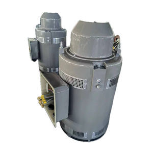 induction motor