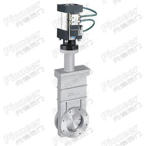 gate valve