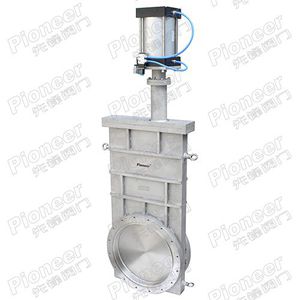gate valve