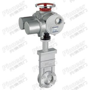 gate valve