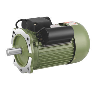 motor with run and start capacitors