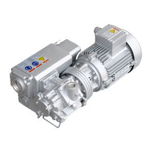 Roots vacuum pump