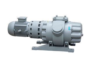 Roots vacuum pump