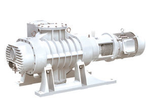 Roots vacuum pump
