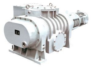 Roots vacuum pump