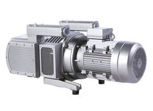 rotary vane vacuum pump