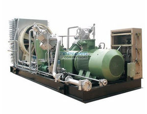 natural gas compressor