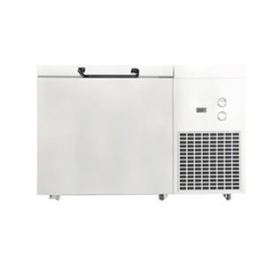 low-temperature freezer