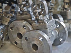 gate valve