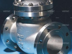 swing check valve