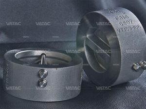 dual plate check valve