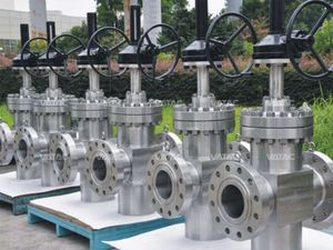 gate valve