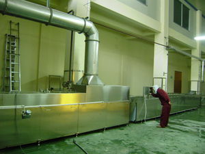 fruits and vegetable blancher 1