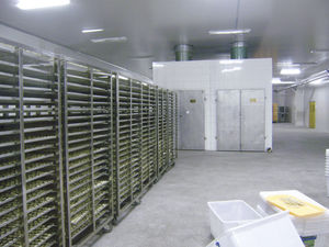 drying tunnel for the food industry