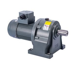 DC gear-motor