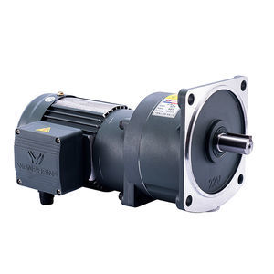 vertical gear-motor