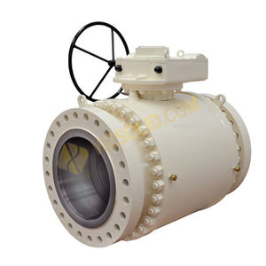 trunnion-mounted valve