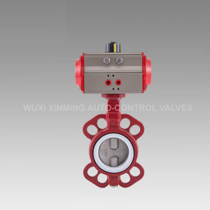 butterfly valve