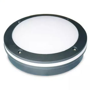 light fixture