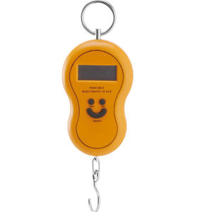electronic scale