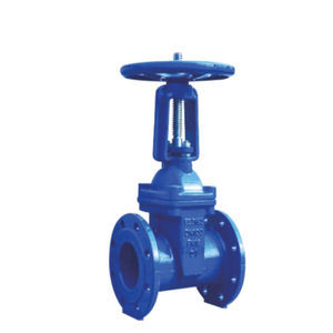 gate valve