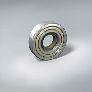 ball bearing bearing