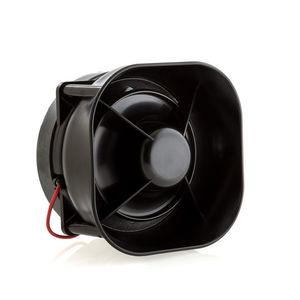 flush-mounted loudspeaker