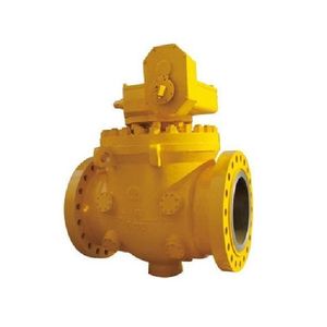 top-entry valve