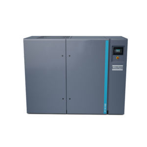 rotary compressor