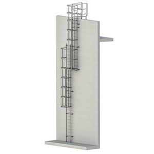 stainless steel ladder