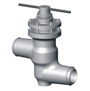 globe valve