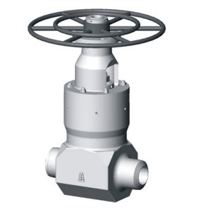 gate valve