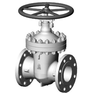 gate valve