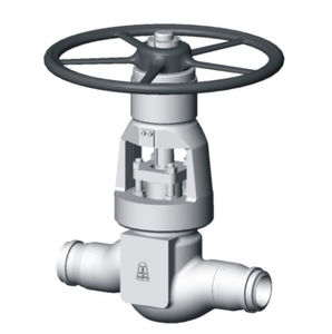 globe valve