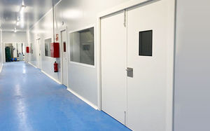 pedestrian doors