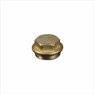 male plug