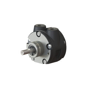vane air motor 1