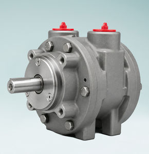 vane air motor 1