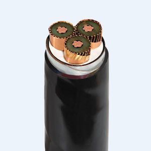 电力电缆