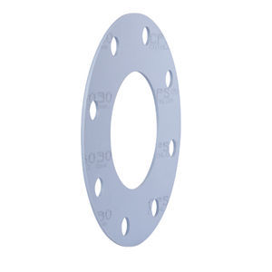 PTFE gasket