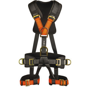 full-body harness