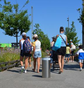 steel fixed bollard