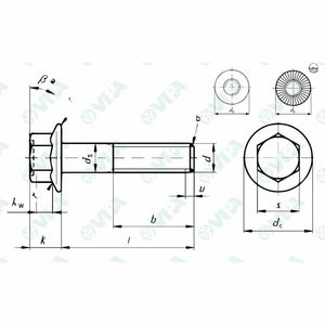 Cylindrical Head Screw - 805 Series - Vipa Spa - Hex Socket   Din