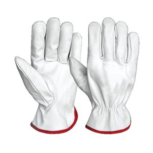 handling gloves